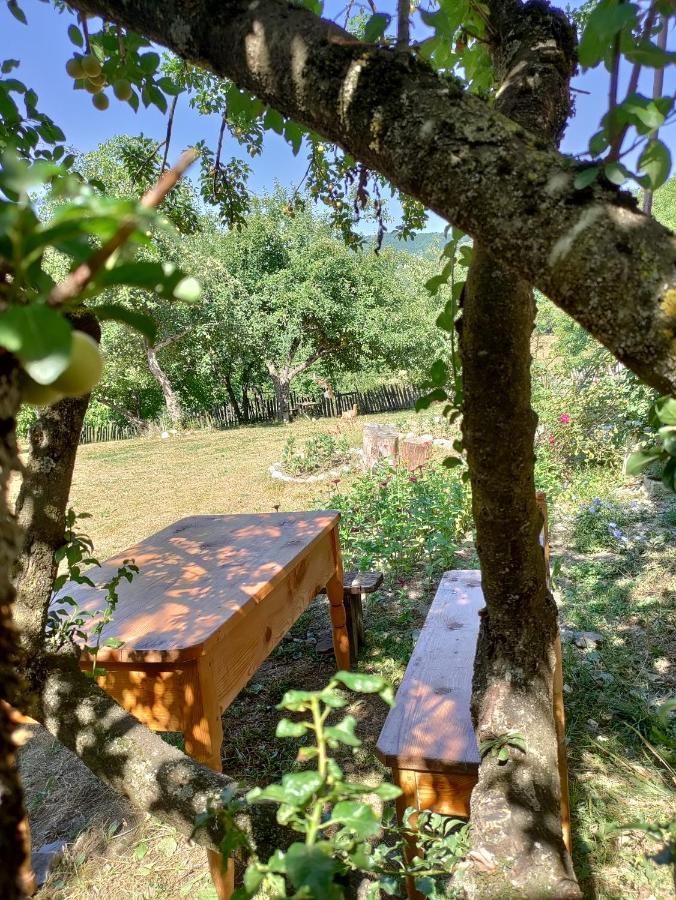 Village House Mestia Luaran gambar