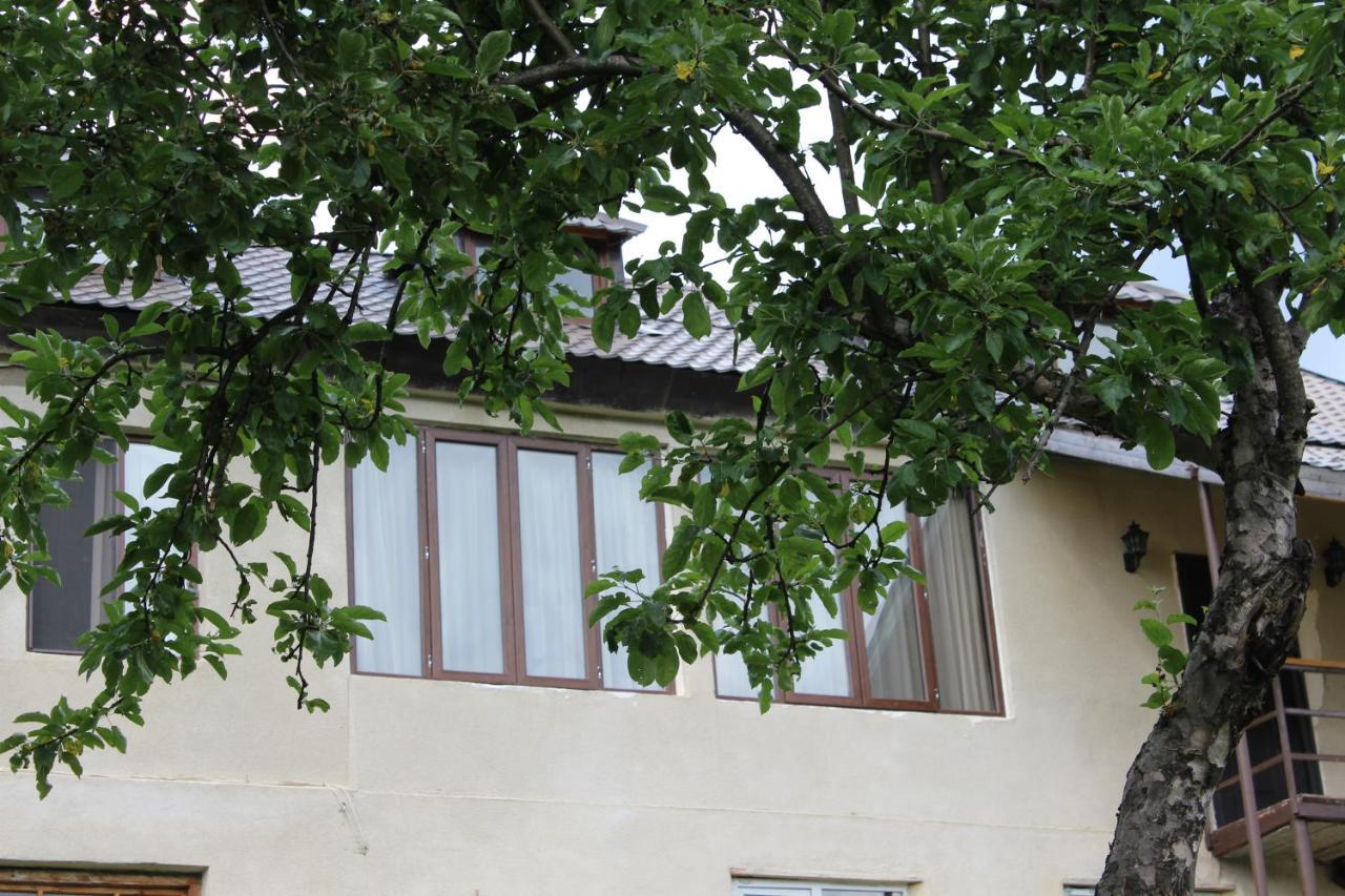 Village House Mestia Luaran gambar